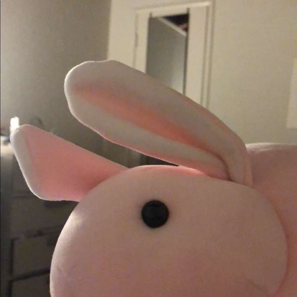 Meet your Posher, Karen